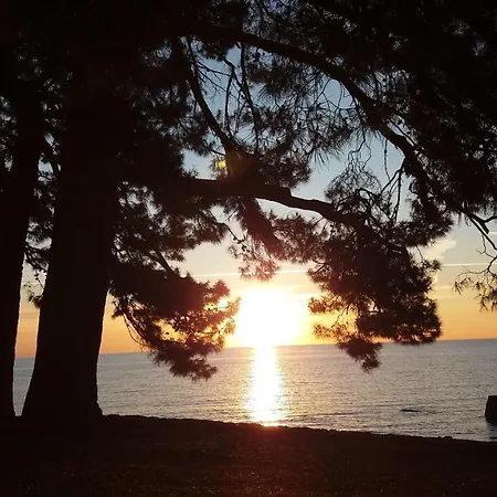 Loredana * بوريتش